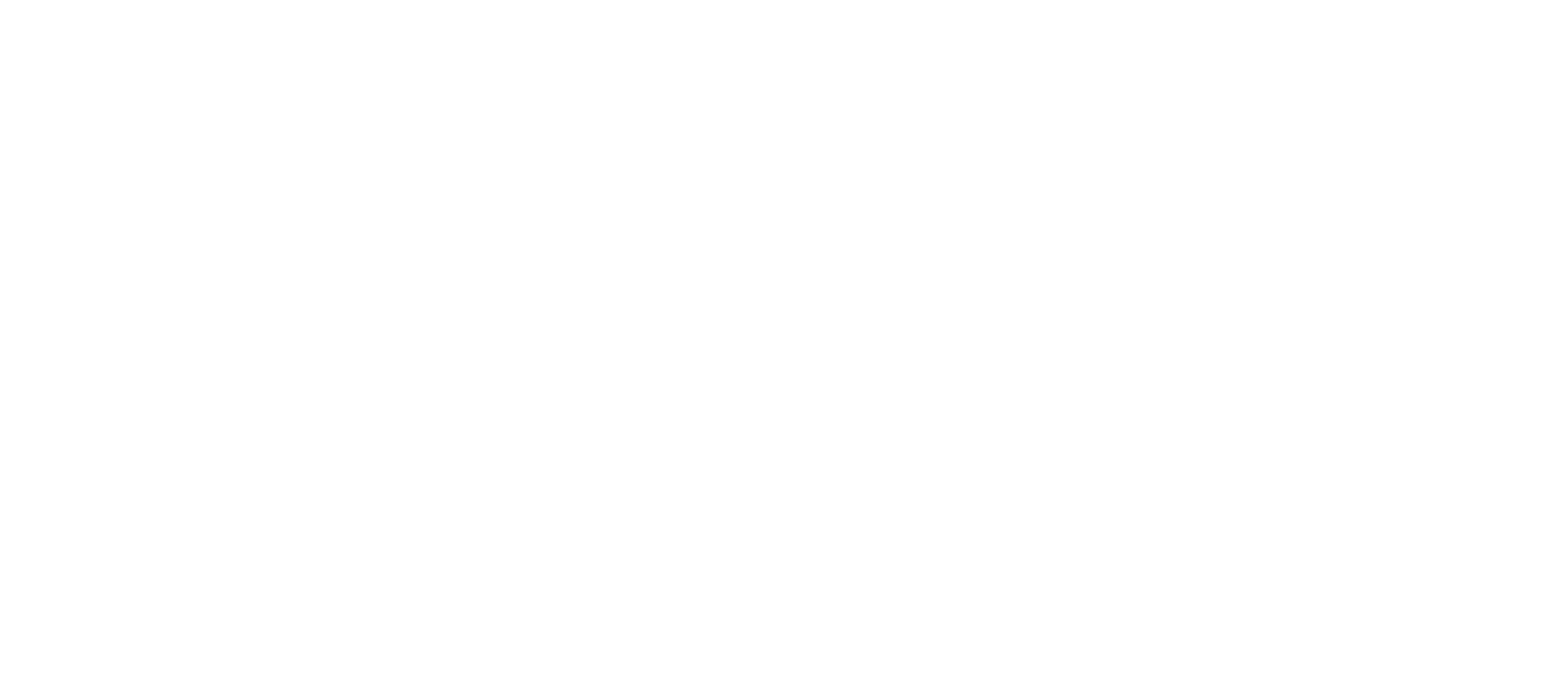 CHEMVIRON..png